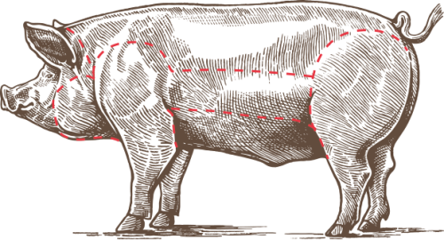 cochon-schema
